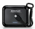 AMAYA APB-F138C 10000mAh Power Bank