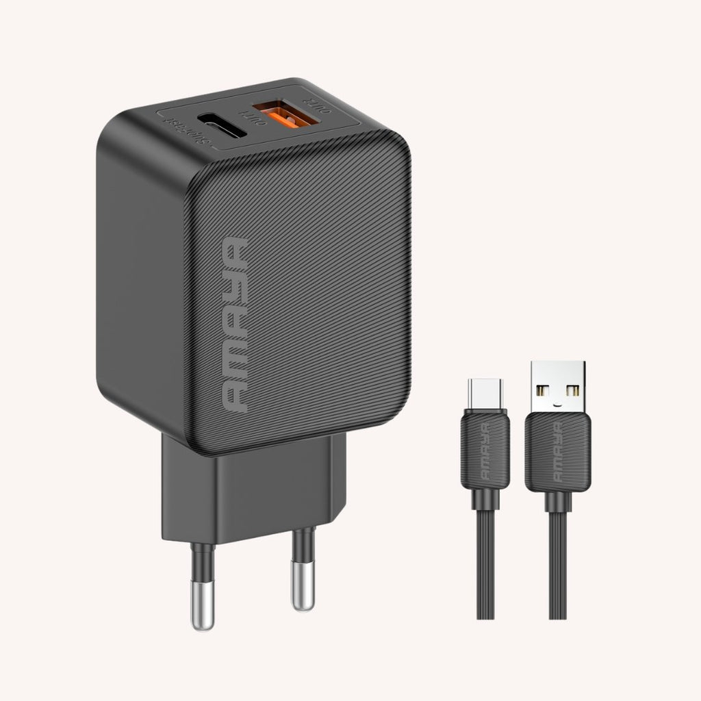 E110C 10W Dual-USB Fast Charger
