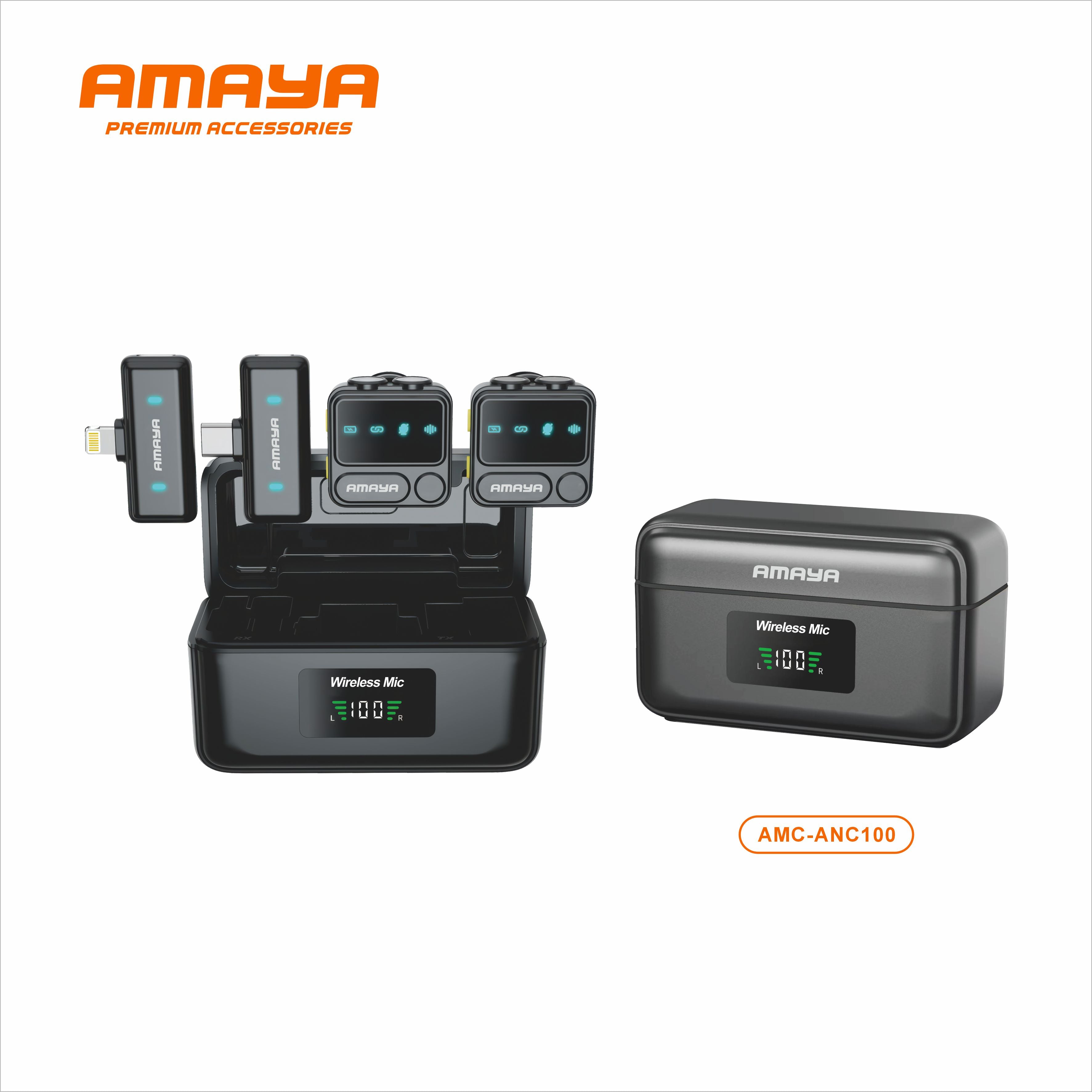Wireless Mic