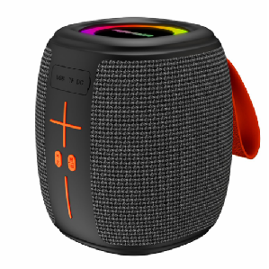 BD66  Speaker