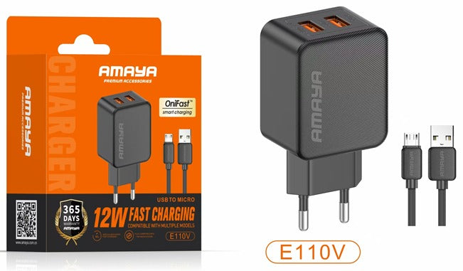 E110V 10W